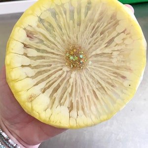 Lemon resin coasters
